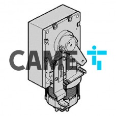 Моторедуктор G2500 CAME 119RIG201